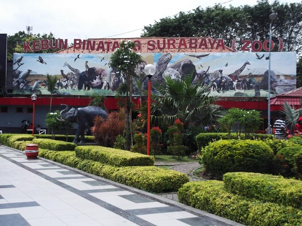 kebun-binatang-surabaya