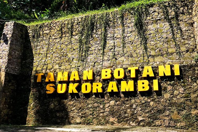 Taman Botani