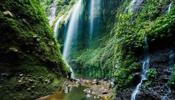 air terjun di probolinggo