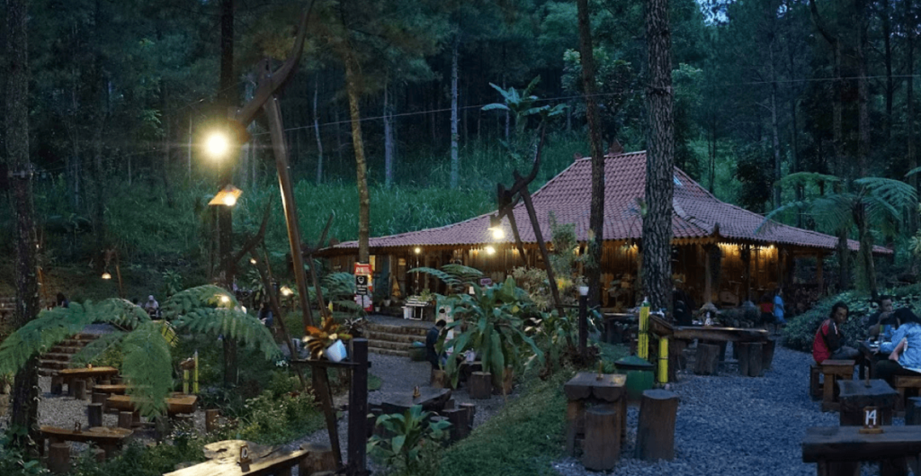 Rental mobil keluarga membawa Anda ke Hutan Cempaka Prigen