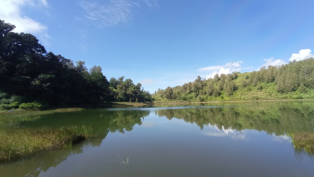 ranu regulo