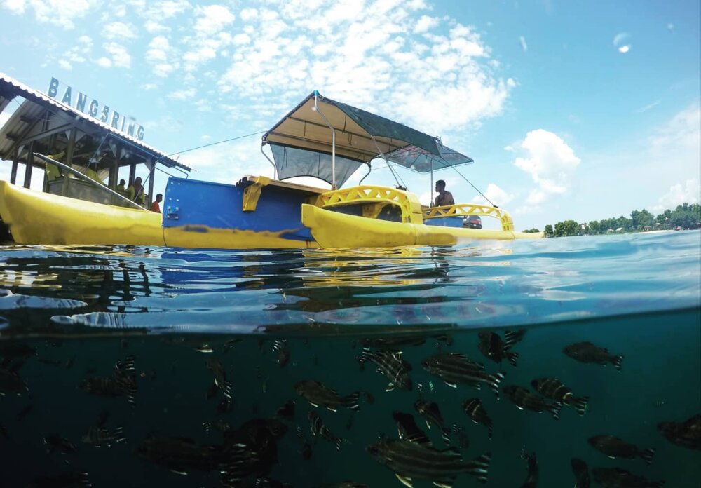 bangsring underwater banyuwangi