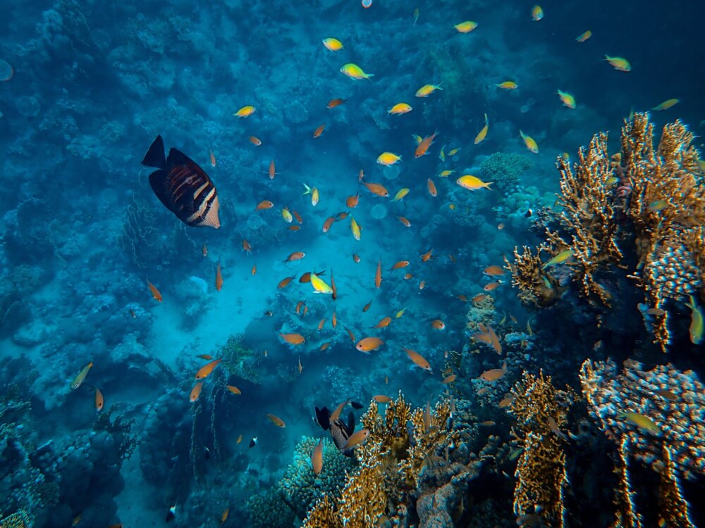 gili ketapang