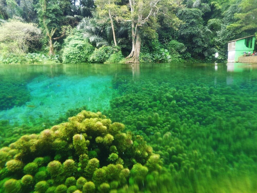 wisata alam malang