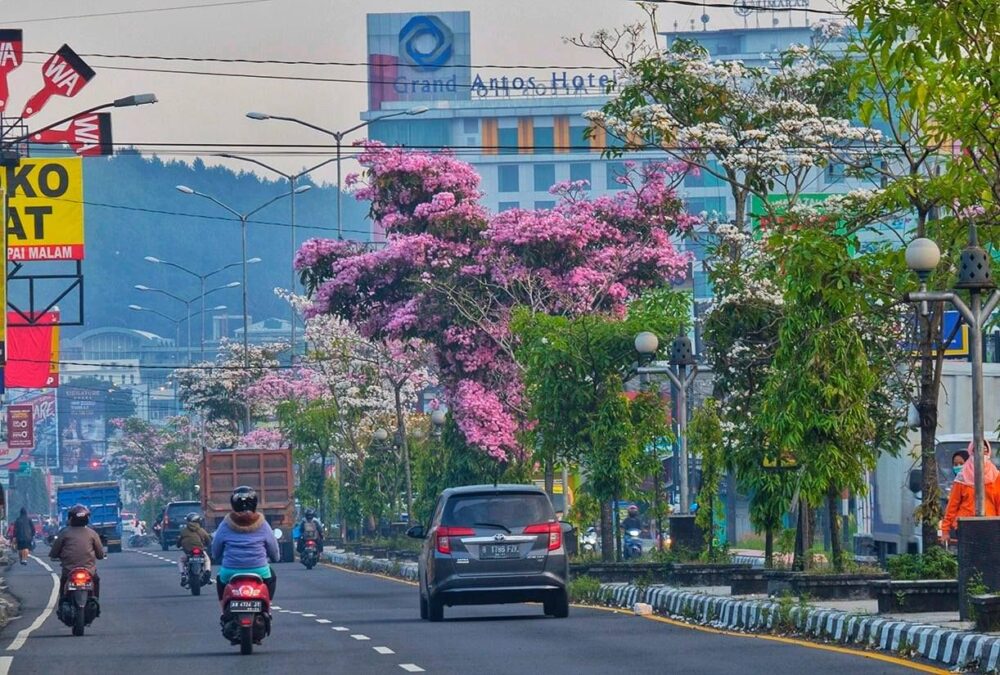 oleh-oleh khas magelang