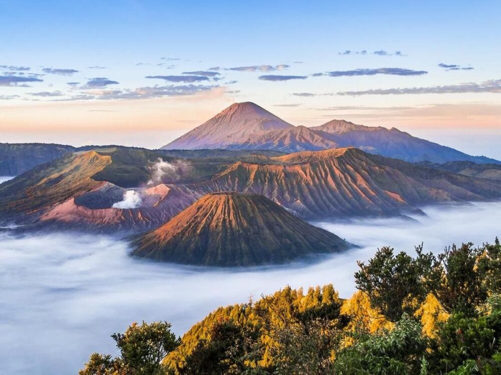 oleh oleh khas bromo