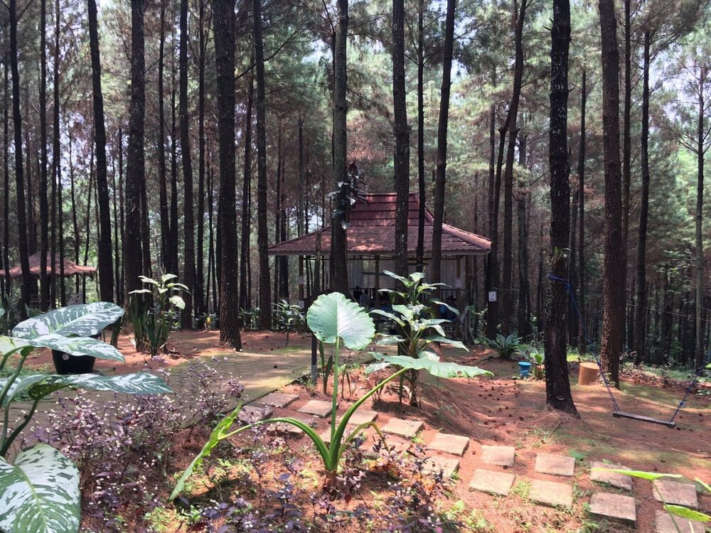 wisata alam jombang