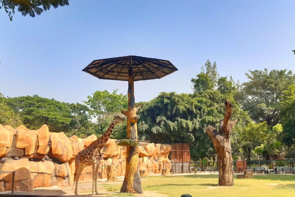 kebun binatang surabaya