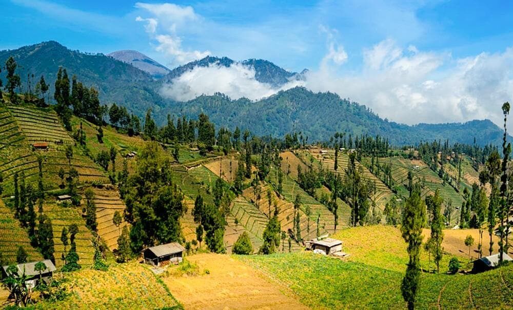 desa wisata ngadas