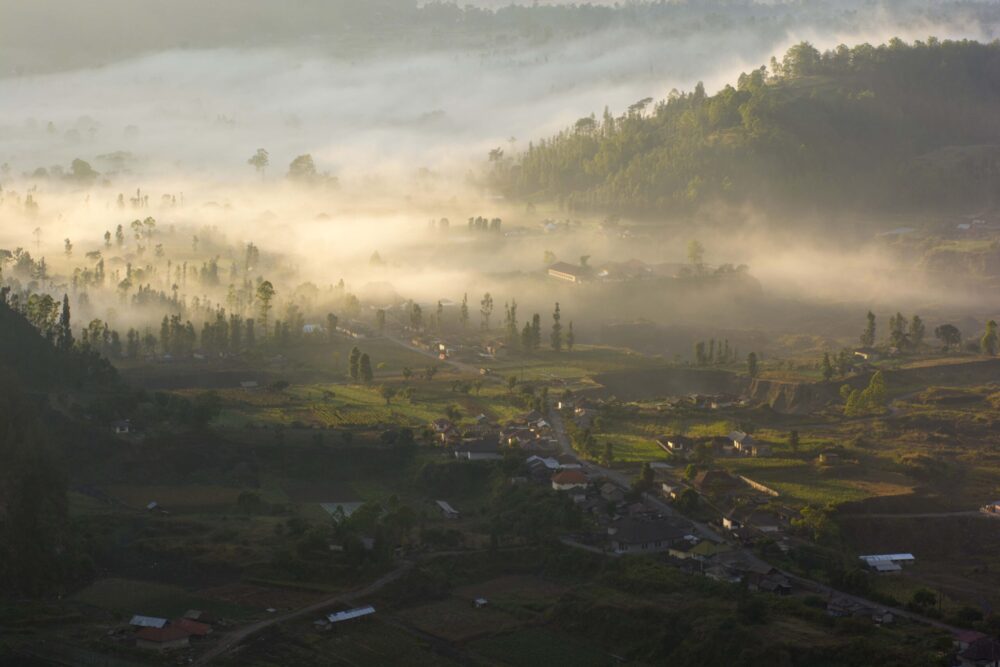 desa pinggan kintamani